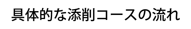 具体的な添削コースの流れ
