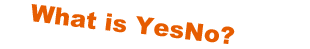 What is YesNo?